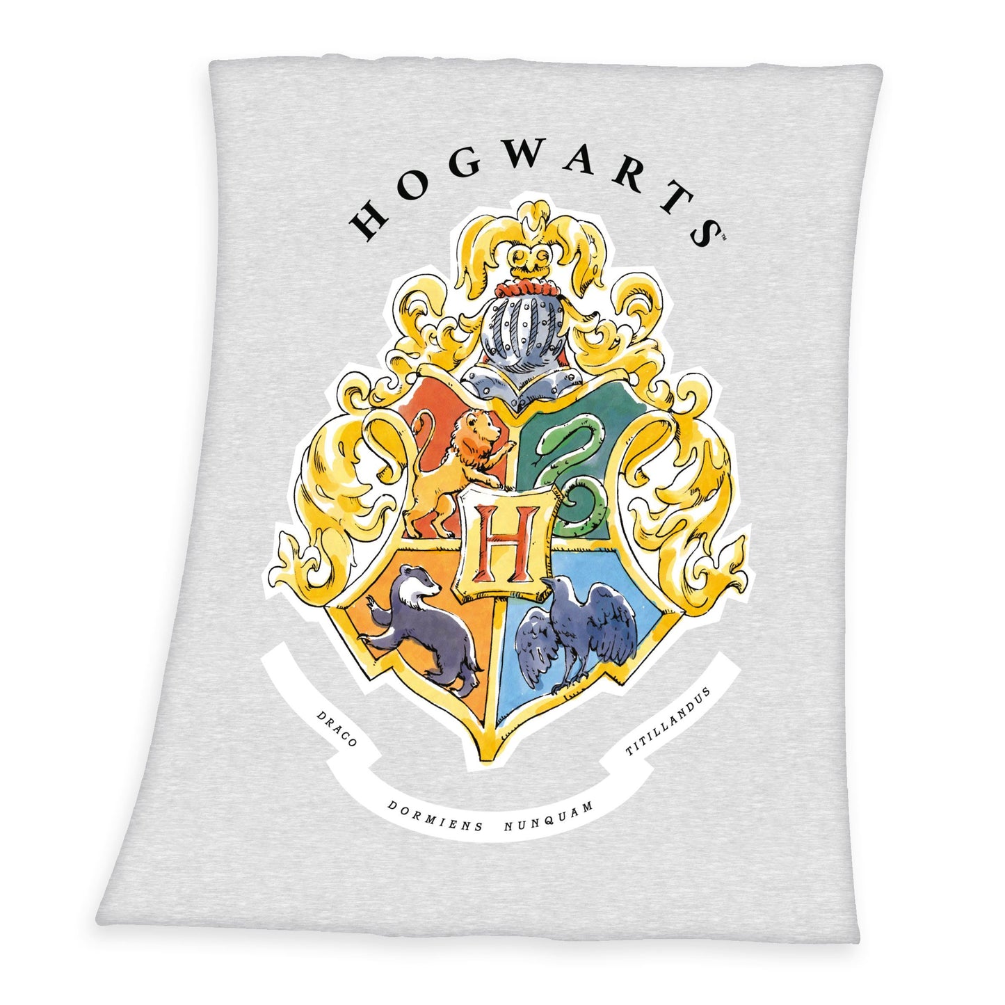 Plaid Harry Potter Hogwarts