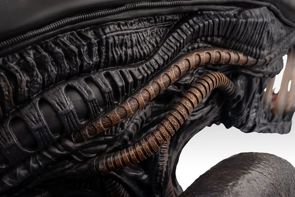 Busto Alien Romulus 1:1 Xenomorfo 53 cm Limited edition