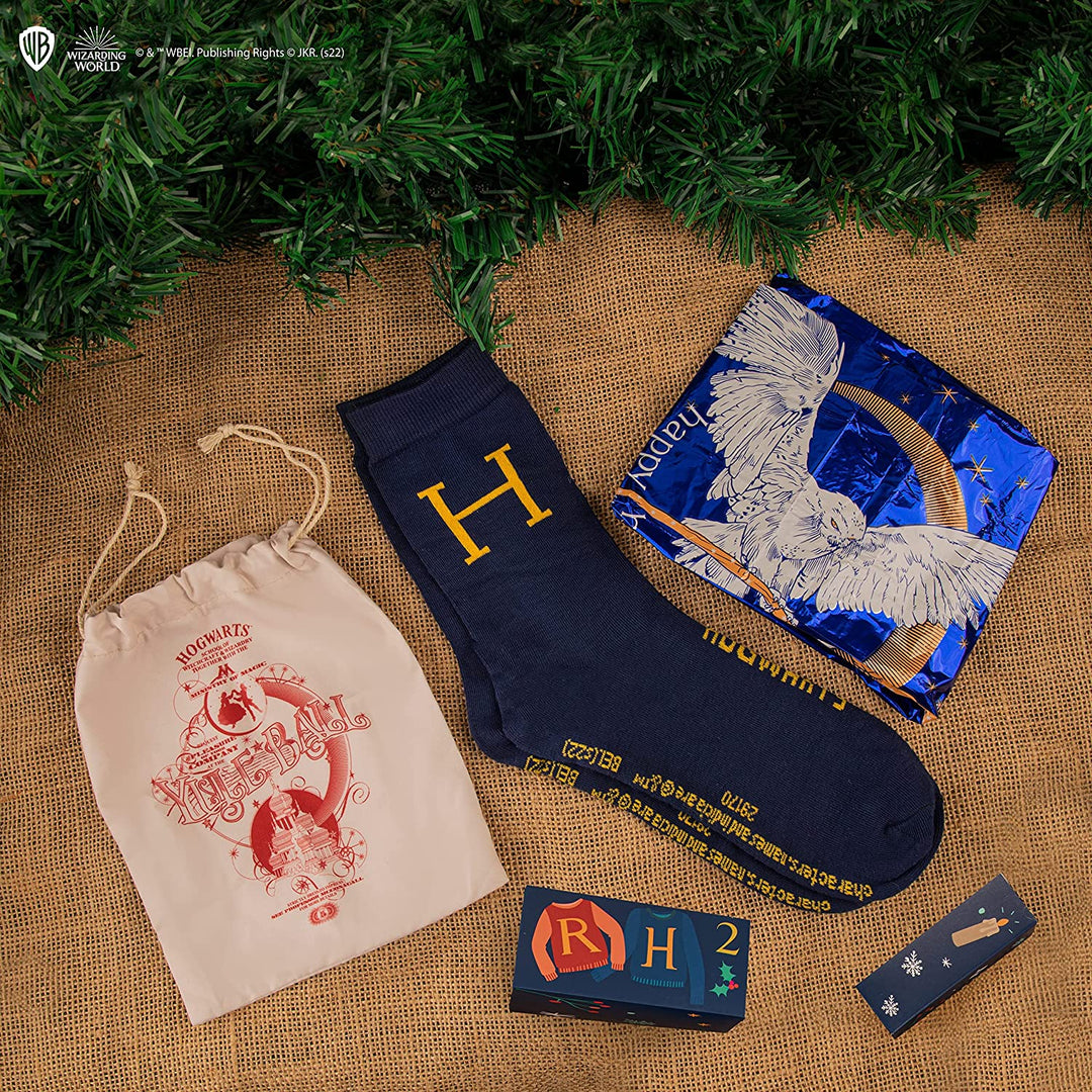 Calendario dell'avvento Deluxe Harry Potter 2023