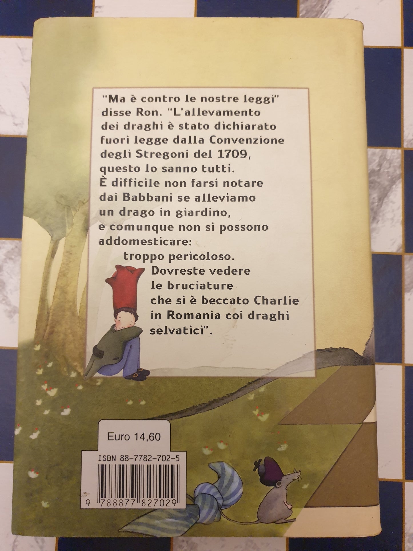 Libro Harry Potter e la pietra filosofale