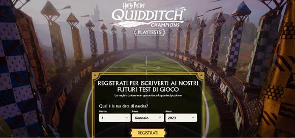 Harry Potter: Campioni di Quidditch in arrivo