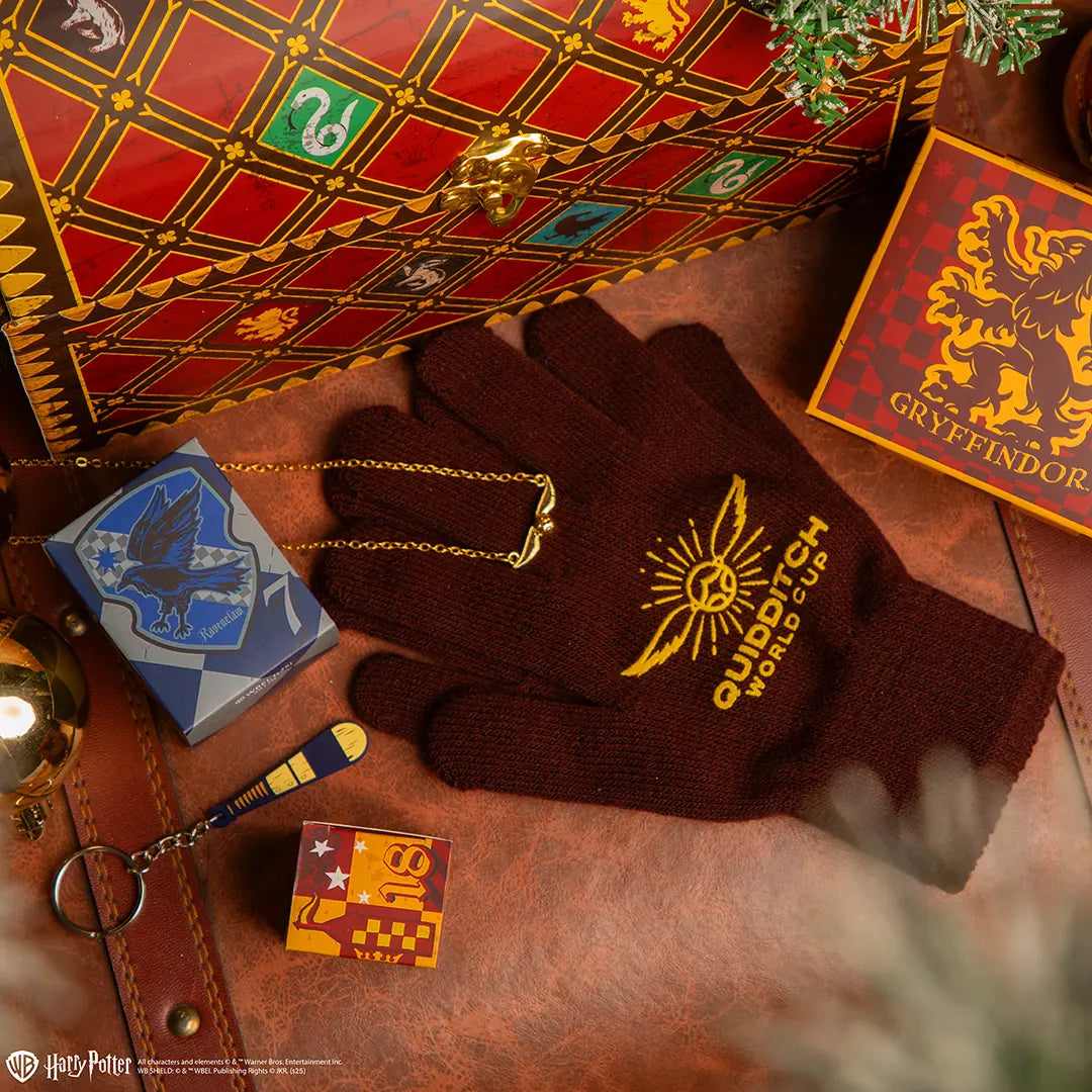Calendario dell’avvento Harry Potter 2025 Deluxe Quiddtich