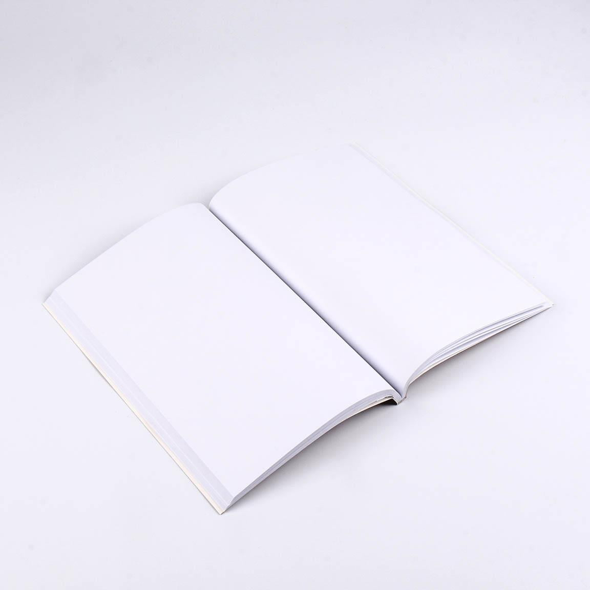 Agenda + Penna Corvonero Harry Potter