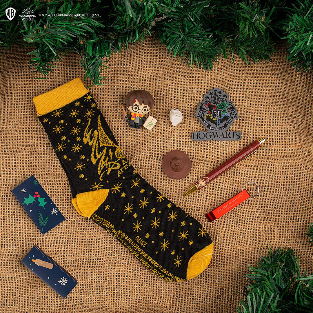 Calendario dell'avvento Deluxe Harry Potter 2023