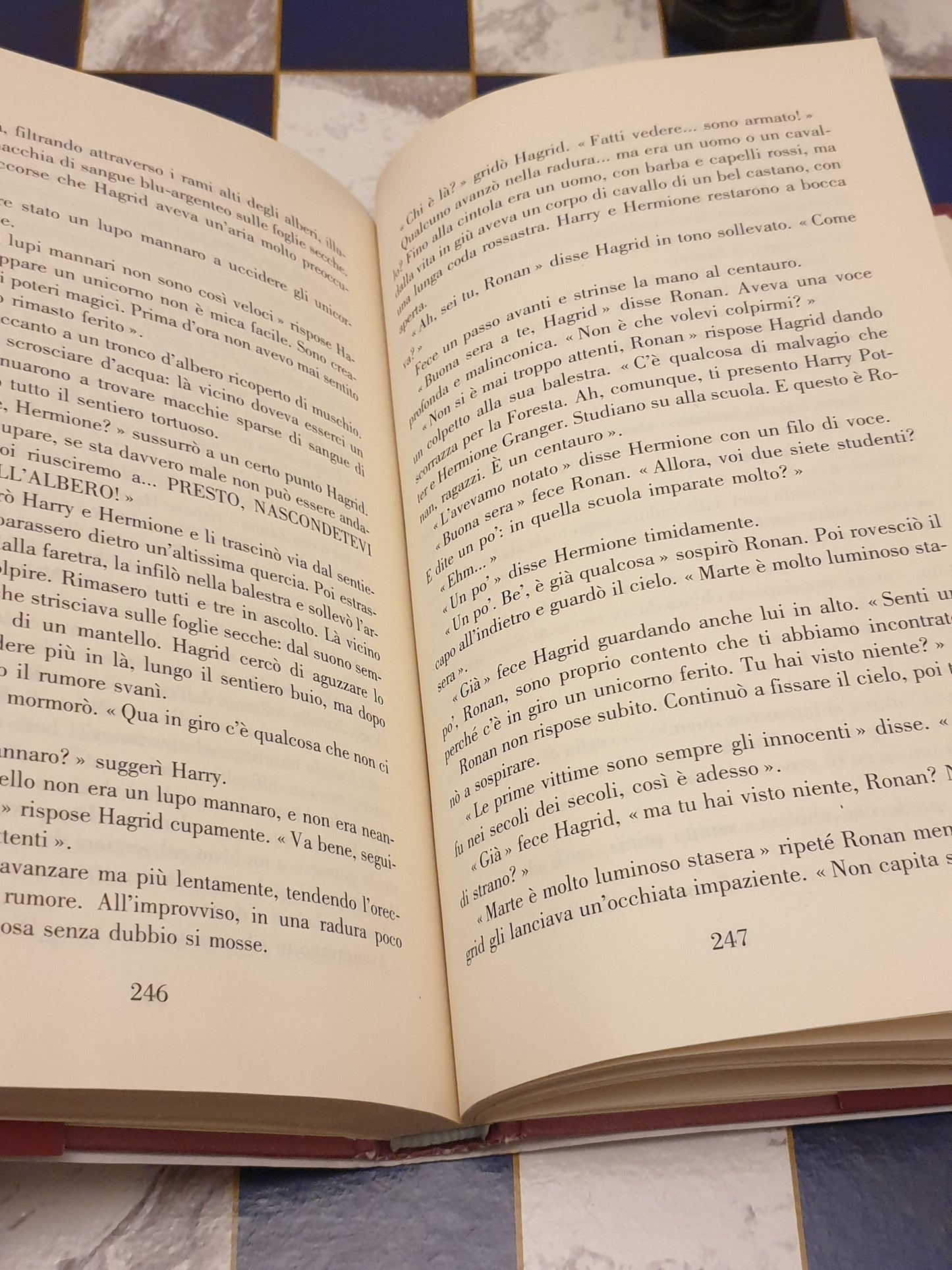 Libro Harry Potter e la pietra filosofale Edizione Castello