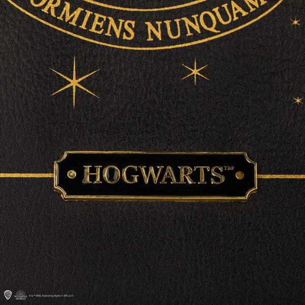 Borsa Harry Potter in Similpelle Hogwarts