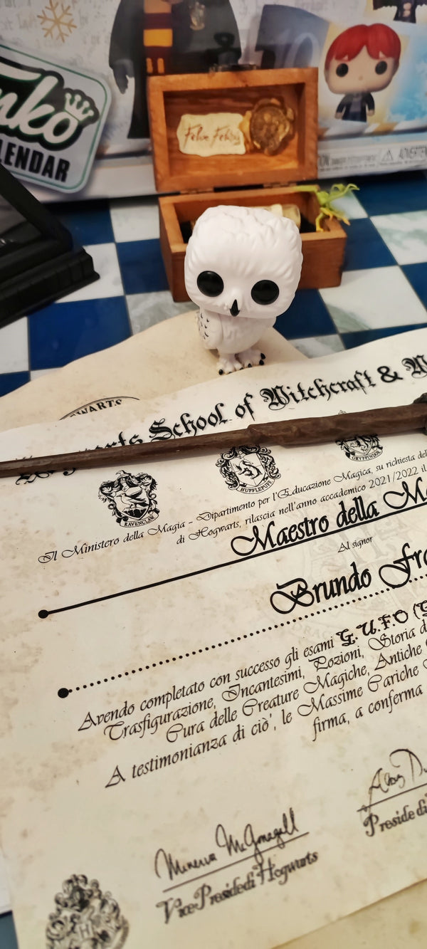 Diploma di Magia Hogwarts G.U.F.O personalizzato Harry Potter