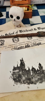 Diploma di Magia Hogwarts G.U.F.O personalizzato Harry Potter