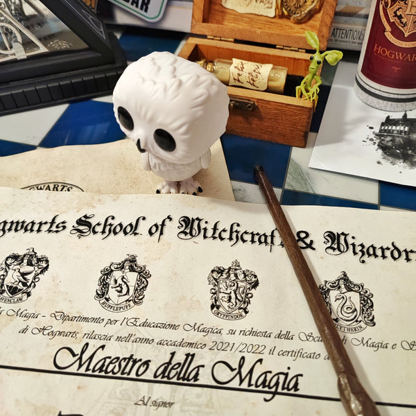 Diploma di Magia Hogwarts G.U.F.O personalizzato Harry Potter