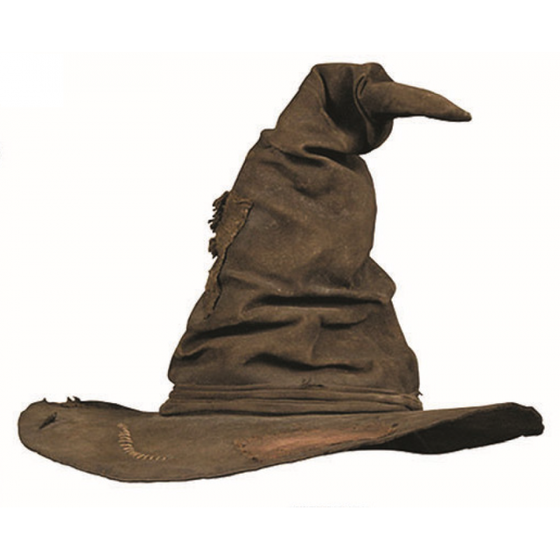 Cappello Mago/Strega Harry Potter
