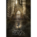 Poster Animali Fantastici e dove trovarli Harry Potter